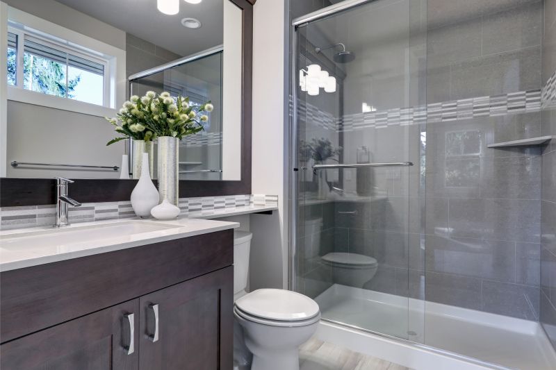 Stylish Shower Remodels
