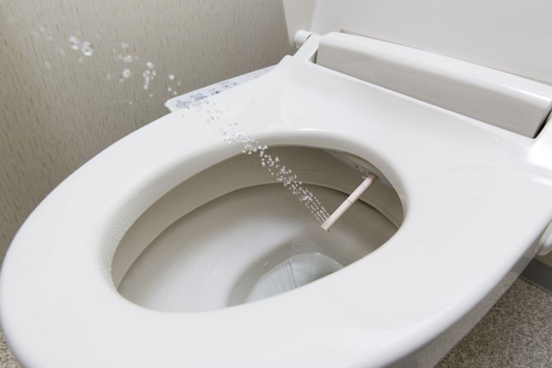 Smart Toilet with Bidet Functionality